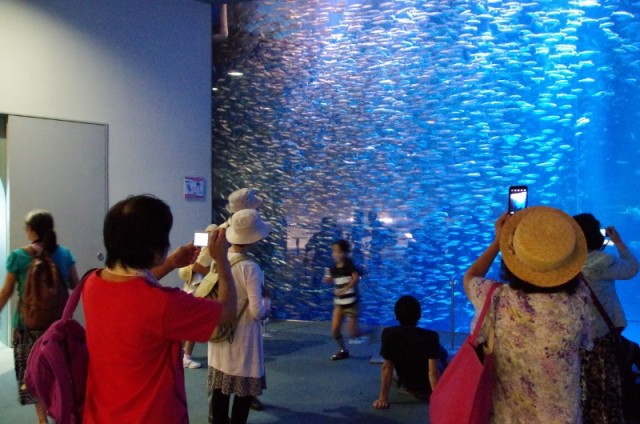 名古屋港水族館2014