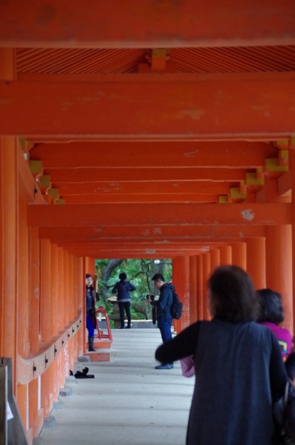 春日大社も素敵なところでした
