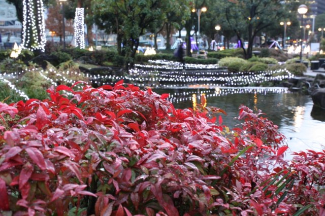 5時からライトアップされています！