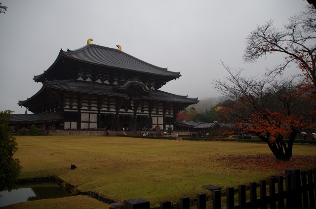 まずは東大寺へ拝観に行きましょう！