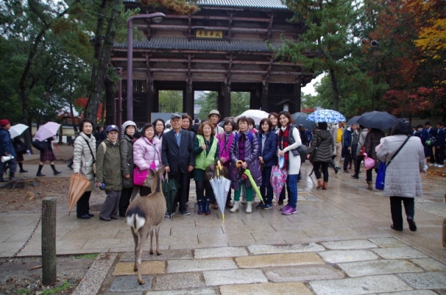傘の出番が少なくて良かったです