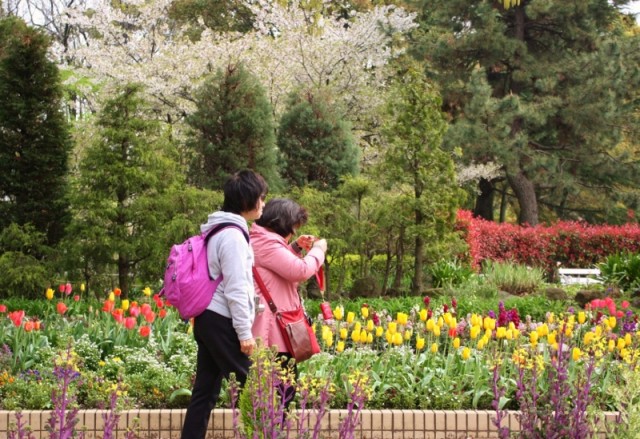 桜もまだ少し残っていました!